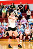 DHS JV Volleyball 10-4-16-12