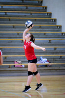 DMS 7th Grade Volleyball 8-17-19-13