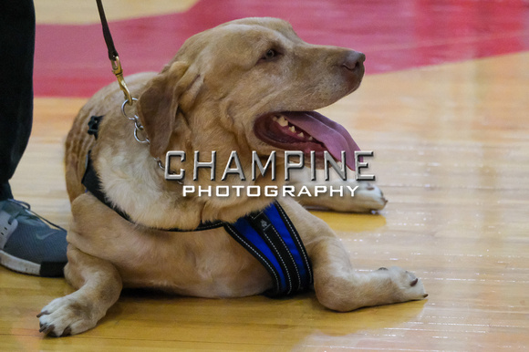 DHS Varsity Volleyball 9-26-19-6