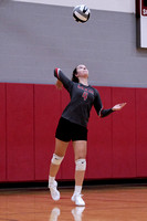 Dixie V Volleyball 9-1-20-20