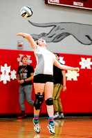 DHS JV Volleyball 10-4-16-20