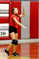 DMS volleyball 9-11-17-15