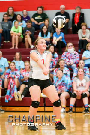 DHS JV Volleyball 10-4-16-11
