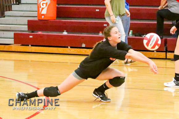 DHS JV Volleyball 9-14-17-8