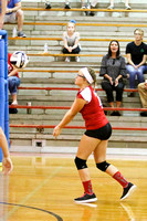 DMS Volleyball 8-29-17-19