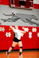 DHS JV Volleyball 10-4-16-14