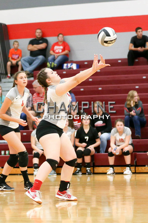 DHS JV volleyball 10-9-17-11