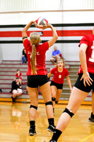 DHS VS TCN Volleyball 10-16-17-5